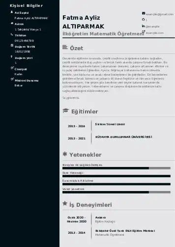 Matematik Öğretmeni Cv Örnekleri cv indir